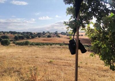 Prismáticos colgados en un poste de tecor con fondo paisajístico rural